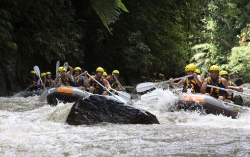 ラフティング＆サファリ・アンダー・ザ・スター 2
