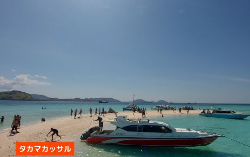 【混載ツアー】日本語ガイド付き ラブアンバジョ発日帰り コモドツアー 8