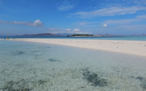 【ジャカルタ発】世界自然遺産!コモド島・コモドドラゴン&ピンクビーチ 2泊3日 6