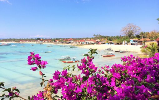 レンボンガン島DEマングローブ＆シュノーケリング 9