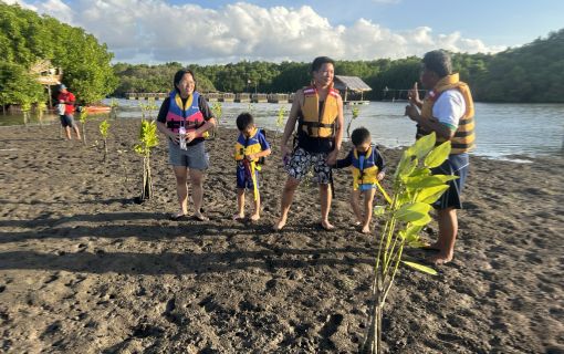 バリ島でカヤック&マングローブツアー 9