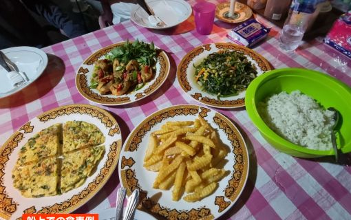 【ジャカルタ発】リバークルーズでオランウータンに会いに行こう＜タンジュンプティン国立公園＞  25