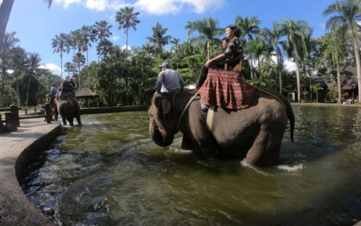 バリ島でエレファントサファリ 7