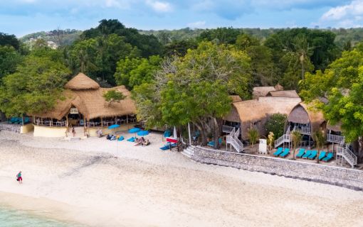 バリハイ　アリストキャット 10