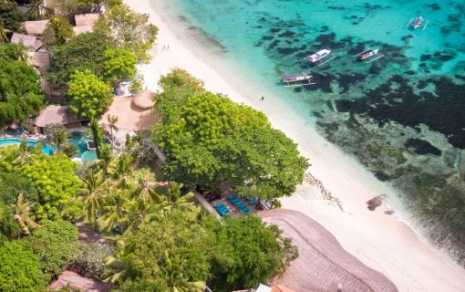 バリハイ　アリストキャット 9