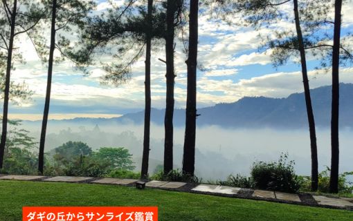 【ジョグジャカルタ発】幻想的な朝焼けを堪能!ボロブドゥール遺跡サンライズ半日ツアー 4