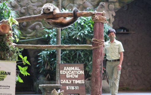 バリサファリ＆マリンパーク 3