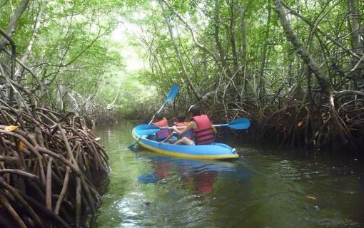 レンボンガン島観光&マングローブでSUP又はカヤックツアー 5