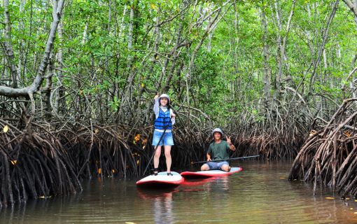 レンボンガン島DEマングローブ＆シュノーケリング 3