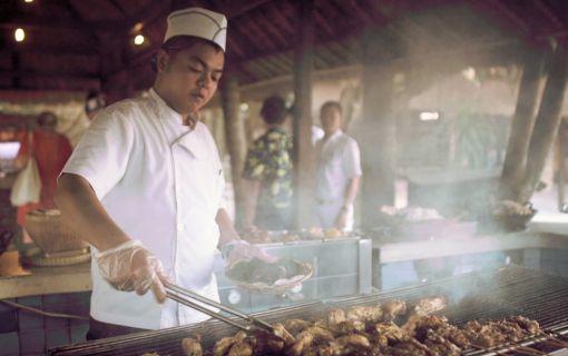 バリハイ　アリストキャット 13