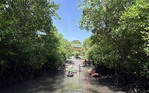 バリ島のマングローブで気軽に半日SUPツアー 11