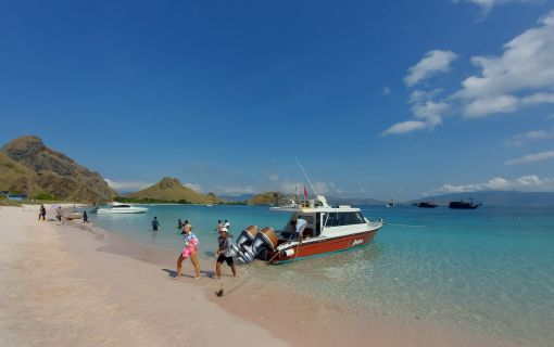 【バリ島発】日帰りコモド島ツアー 6