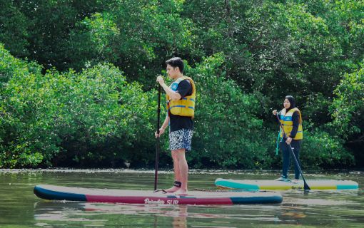 バリ島のマングローブで気軽に半日SUPツアー 2