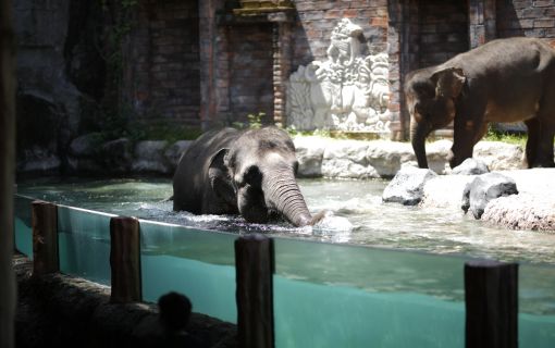 バリサファリ＆マリンパーク 5