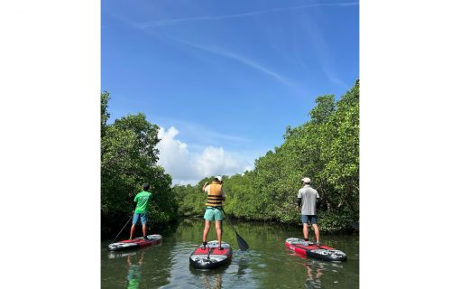 バリ島のマングローブで気軽に半日SUPツアー 9