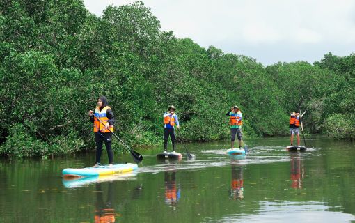バリ島のマングローブで気軽に半日SUPツアー 6