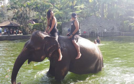 バリ島でエレファントサファリ 8
