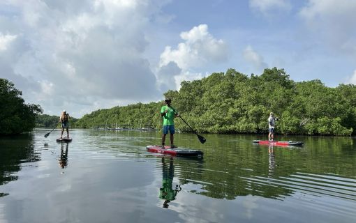 バリ島のマングローブで気軽に半日SUPツアー 4