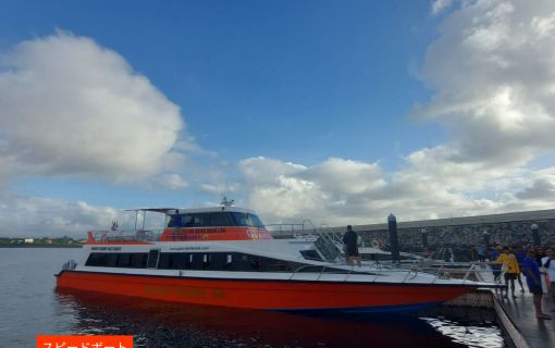 バリ島発日帰りヌサペニダ1日観光ツアー 2