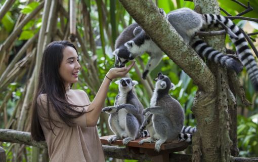 気軽に動物たちと楽しめるバリ動物園(バリズー)ツアー 6