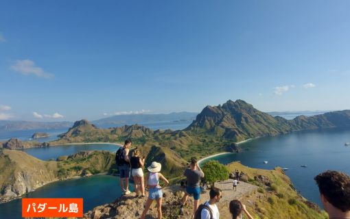 【混載ツアー】日本語ガイド付き ラブアンバジョ発日帰り コモドツアー 3