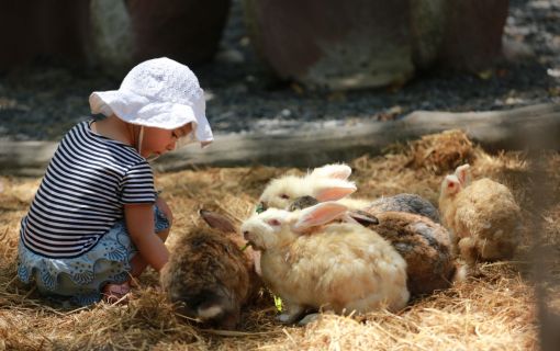 バリサファリ＆マリンパーク 8