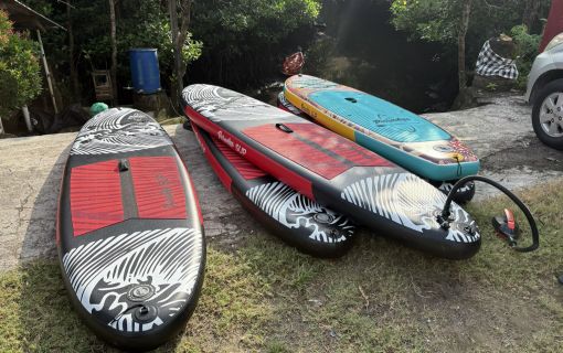 バリ島のマングローブで気軽に半日SUPツアー 3