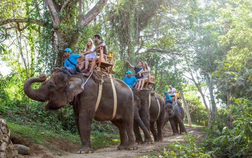 バリズー(Bali Zoo)にてエレファントライド＆ウブド自由散策 2