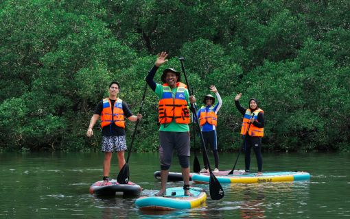 ベーシックプラン(バリ島のマングローブで気軽に半日SUPツアー)