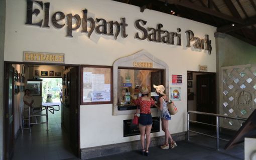 バリ島でエレファントサファリ 2