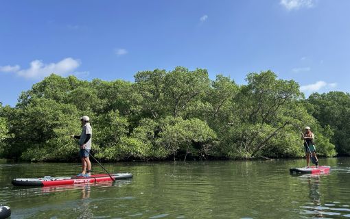 バリ島のマングローブで気軽に半日SUPツアー 6