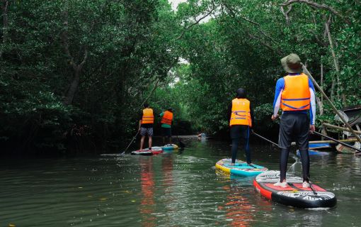 バリ島のマングローブで気軽に半日SUPツアー 9