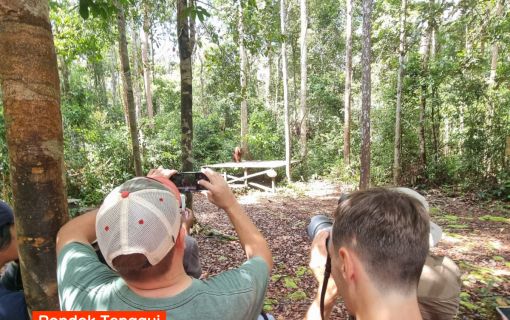 【ジャカルタ発】リバークルーズでオランウータンに会いに行こう＜タンジュンプティン国立公園＞  17