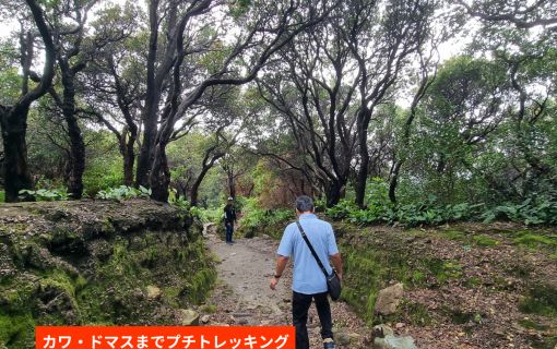 往復新幹線利用!ジャカルタ発バンドン日帰り1日観光 6