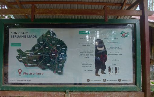 【ジャカルタ発】バリクパパン1泊2日観光ツアー｜オランウータンに会いに行こう!＜サンボジャ・レスタリ＞ 4