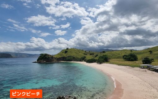 【混載ツアー】日本語ガイド付き ラブアンバジョ発日帰り コモドツアー 7