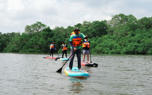 バリ島のマングローブで気軽に半日SUPツアー 5