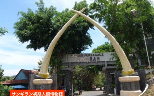 【ジョグジャカルタ発】人類の起源と古代寺院を巡る！サンギラン遺跡＆スクー寺院・チュト寺院1日ツアー 2