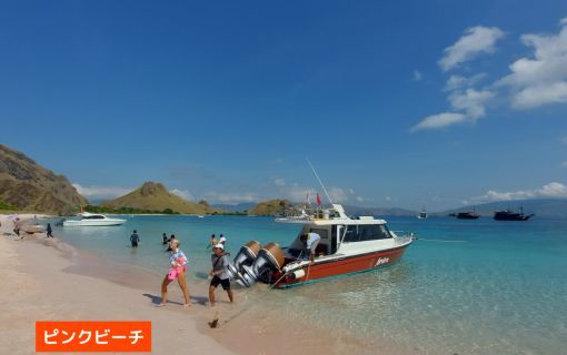 【プライベート利用】日本語ガイド付き ラブアンバジョ発日帰り コモドツアー 6