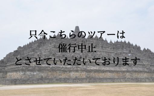 【バリ島発】世界遺産を巡るジョグジャカルタ1日観光