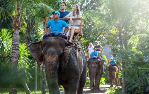 気軽に動物たちと楽しめるバリ動物園(バリズー)ツアー