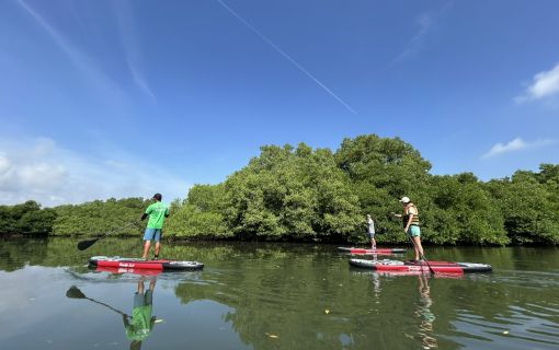 バリ島のマングローブで気軽に半日SUPツアー 1