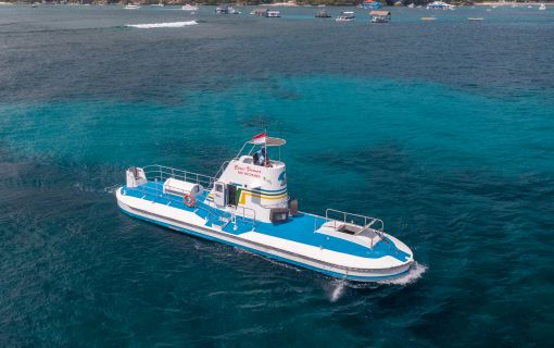 バリハイ　アリストキャット 6