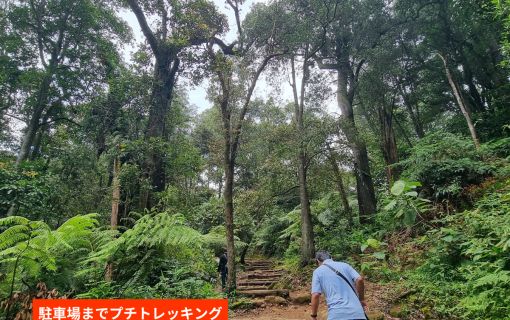 往復新幹線利用!ジャカルタ発バンドン日帰り1日観光 10