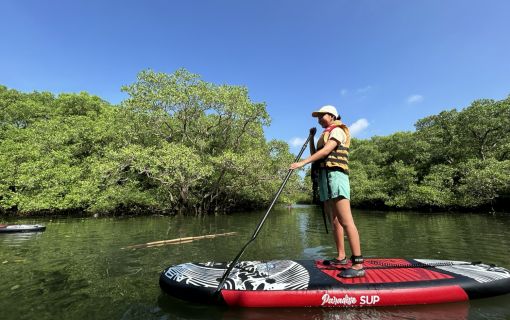 バリ島のマングローブで気軽に半日SUPツアー 7