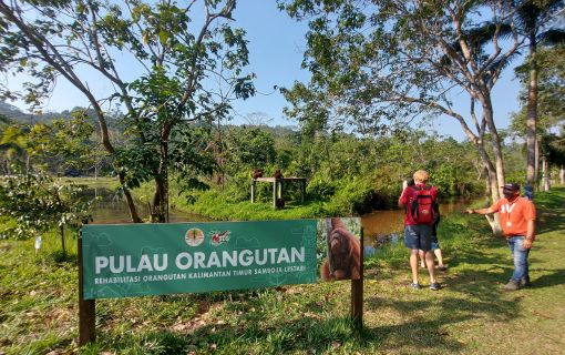 【ジャカルタ発】バリクパパン1泊2日観光ツアー｜オランウータンに会いに行こう!＜サンボジャ・レスタリ＞ 3