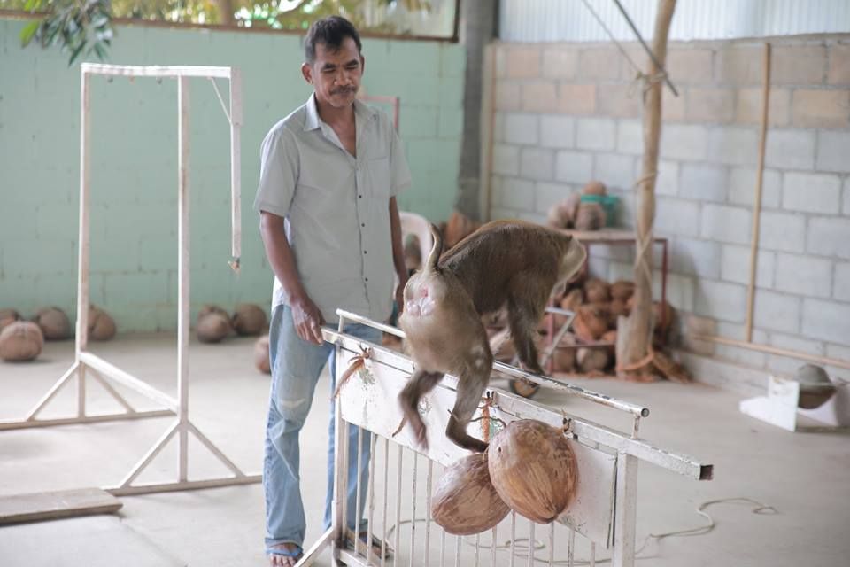 ブキット・サファリ (サファリツアー, プーケット)英語ガイド 3