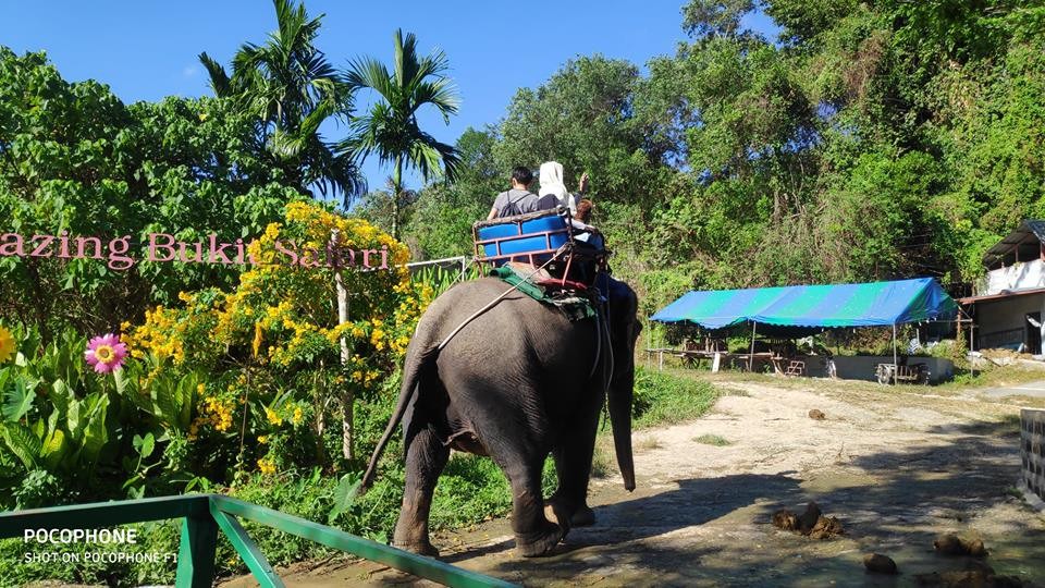 ブキット・サファリ (サファリツアー, プーケット)英語ガイド 1