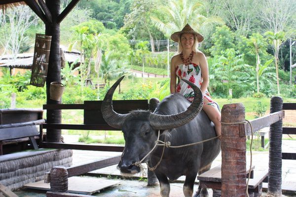 ブキット・サファリ (サファリツアー, プーケット)英語ガイド 8