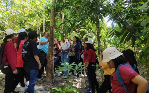 ブキット・サファリ (サファリツアー, プーケット)英語ガイド 5